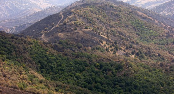 Նոր բացահայտումներ Խոսրովի անտառից. քարեր, որոնք նոր բռնկումների առիթ են տվել