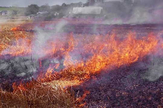 Հրդեհ Զանգակատուն գյուղում. ամբողջությամբ այրվել է անասնագոմը, 1000 հա անասնակեր ու վառելիք